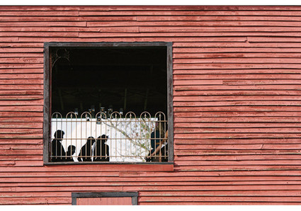 Vintage Mexican Fiesta Inspired Wedding