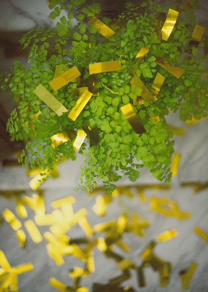 Wes Anderson Inspired Wedding