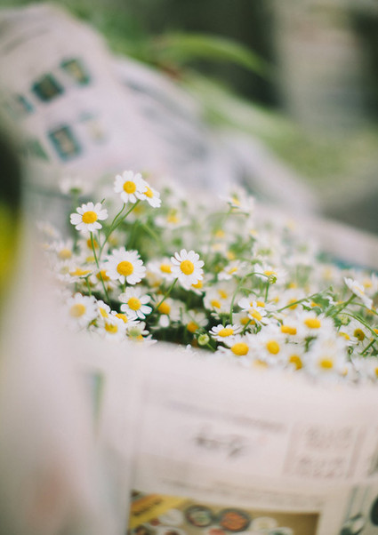 Indie Southern California wedding Wedding Inspiration