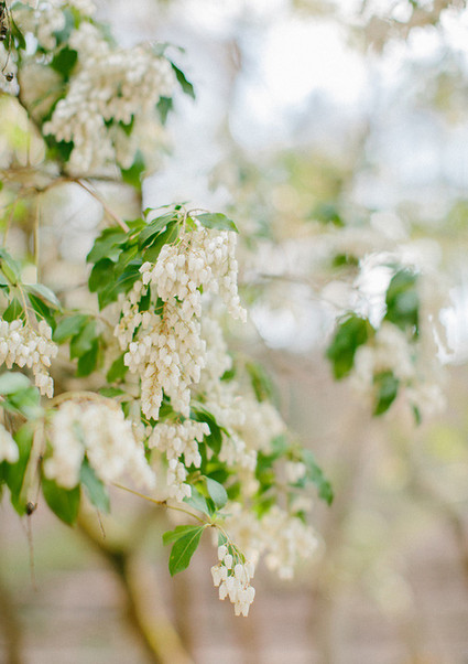 Emily Delamater Wedding Inspiration