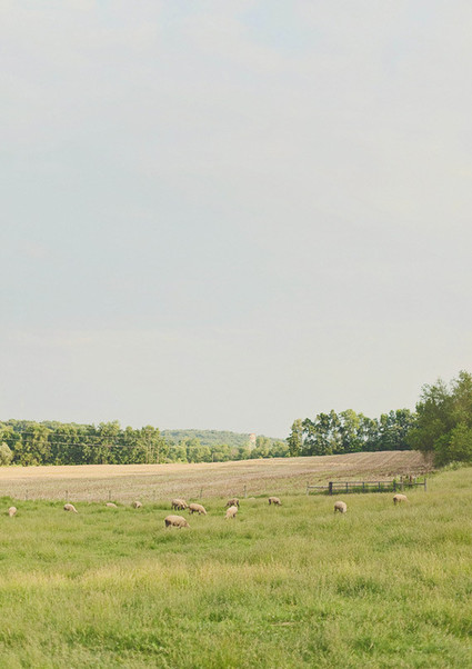 DIY Ohio farm wedding Wedding Inspiration