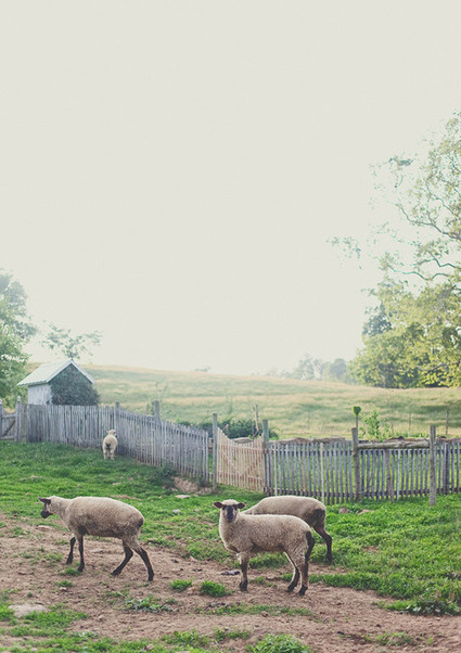DIY Ohio farm wedding Wedding Inspiration