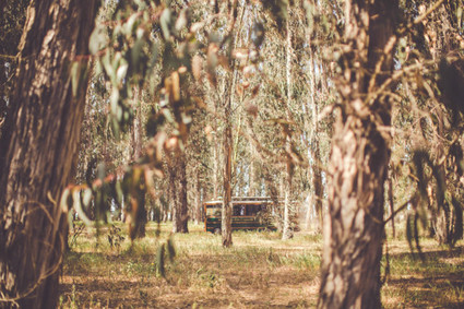 Dune Lakes Wedding Inspiration