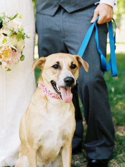Bright, colorful Colorado wedding Wedding Inspiration