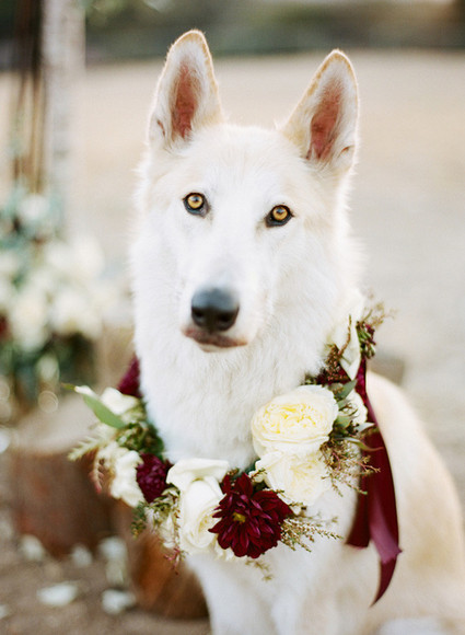 LMarie Photography Wedding Inspiration