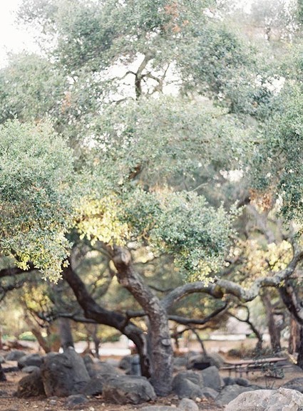 Velvety green wedding inspiration Wedding Inspiration