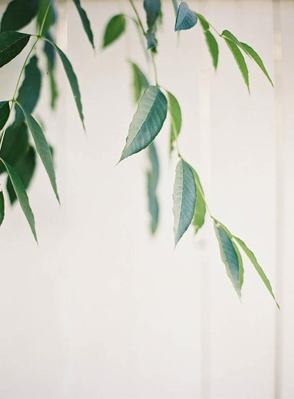 Velvety green wedding inspiration Wedding Inspiration