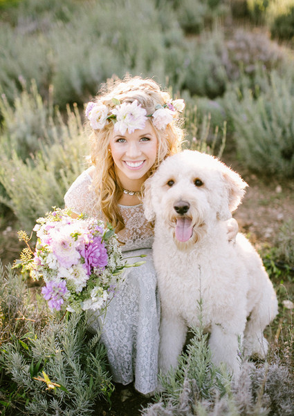 Lavender farm inspiration bride with dog Inspiration