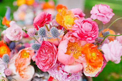 Colorful flowers