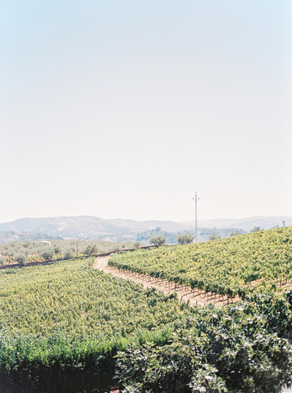 Elegant Portugal vineyard wedding Wedding Inspiration