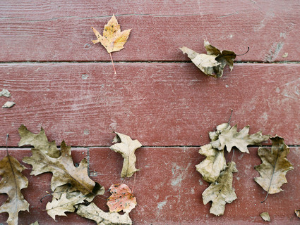 Rustic Fall Wedding