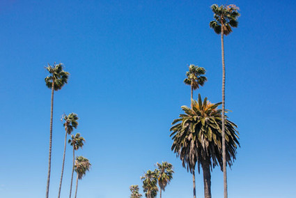 Ace Hotel downtown LA wedding Wedding Inspiration