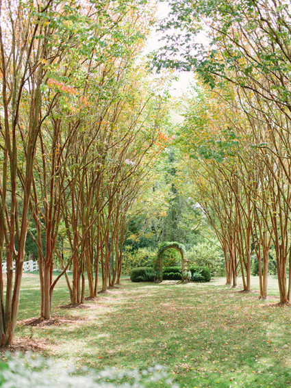 Carrie Coleman Photography Wedding Inspiration