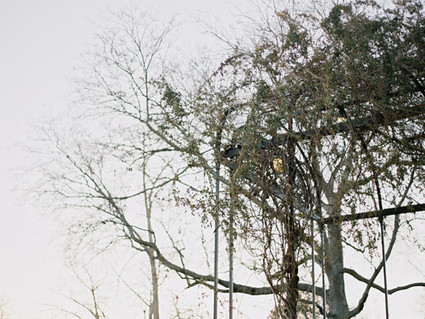 botanical garden wedding inspiration Wedding Inspiration