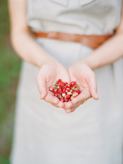 Wild strawberries