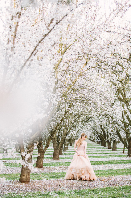 Blossoming almond orchards wedding inspiration