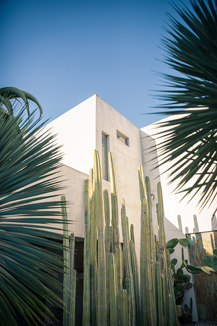 Modern Philip Dixon house wedding