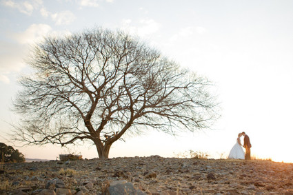 South Africa Wedding Portraits
