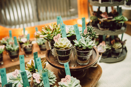Mini succulent escort cards