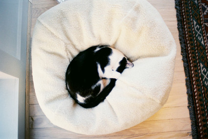 Texas Home Engagement Shoot