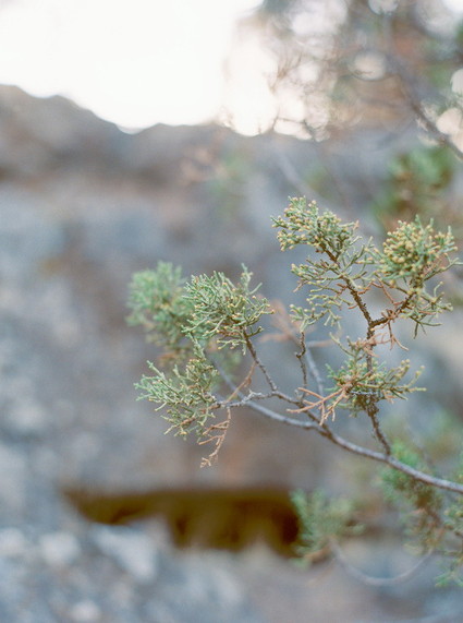 Organic Natural Oregon Wedding Inspiration