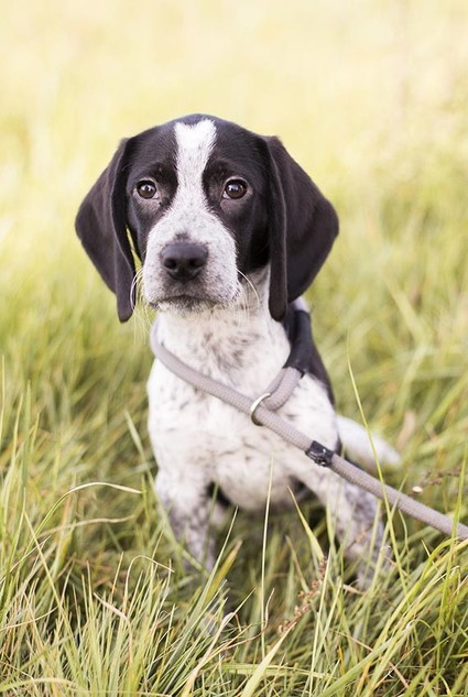 Old World Vintage Wedding Inspiration