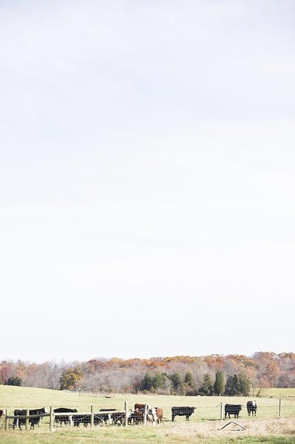 Old World Vintage Wedding Inspiration