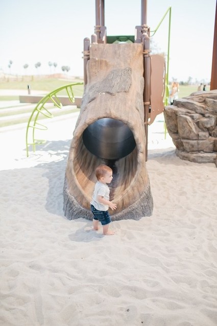 Animal first birthday ideas