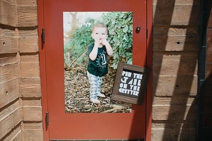 Animal first birthday ideas