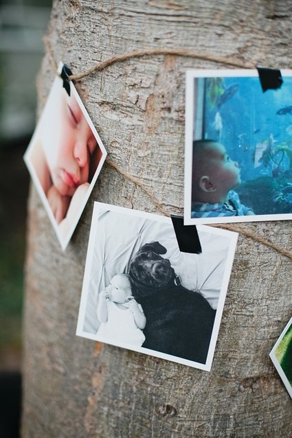 Animal first birthday ideas