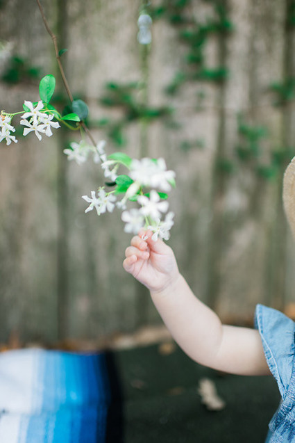 baby girl portraits