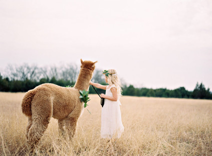 Alpaca Farm wedding inspiration