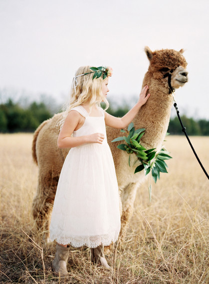 Alpaca Farm wedding inspiration