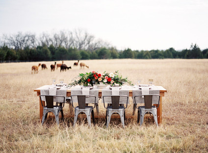 Alpaca Farm wedding inspiration
