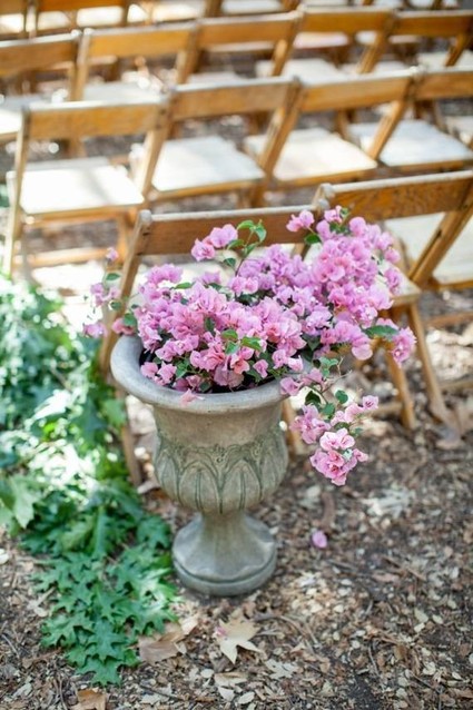 Santa Barbara Natural History Museum wedding