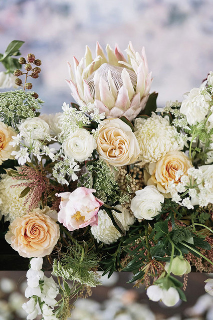 Protea flowers
