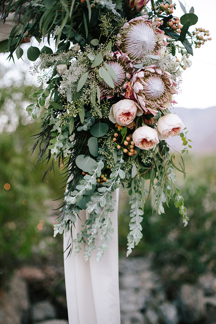 Protea alter flowers