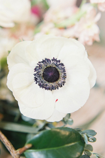 Flowers Inspiration