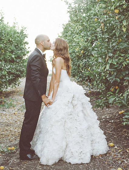 Lemon orchard portrait