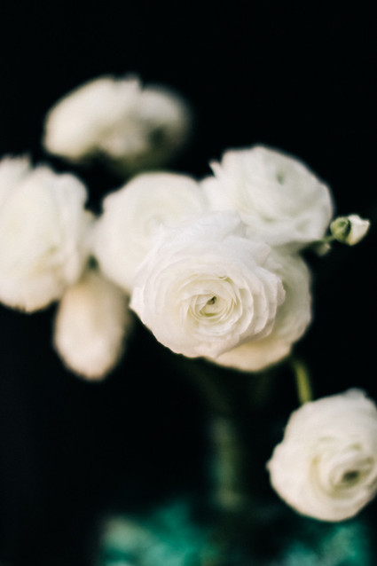 White ranunculus Inspiration