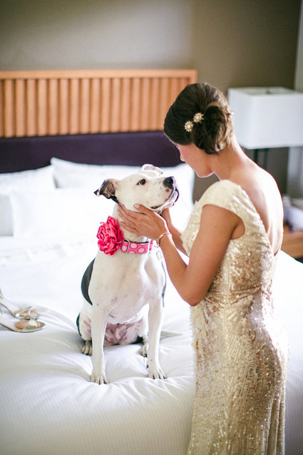 Bride getting ready with dog