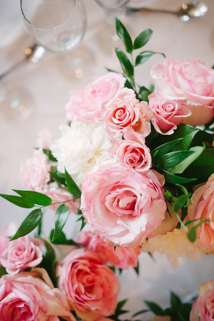 Pink roses