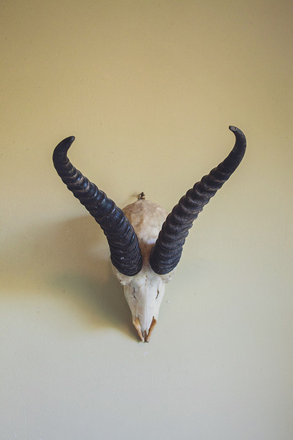 Decor