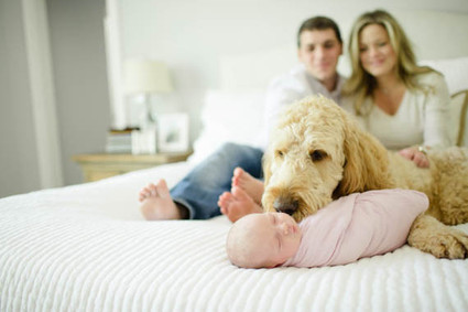 Light airy newborn photos