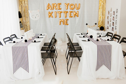 Kitten 2nd Birthday Party Inspiration