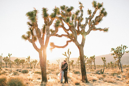 Joshua Tree engagement photoshoot