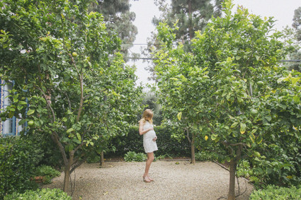 Citrus Grove maternity photo