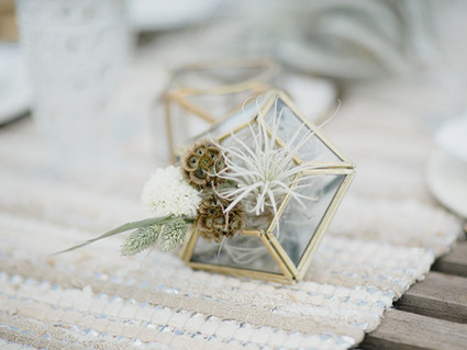 Air plant decor