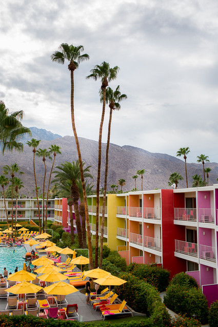 Saguaro Hotel Palm Springs Inspiration