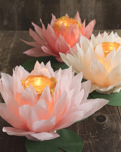 Paper flower luminaries